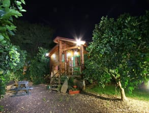 בפרדס%20של%20הרמן%20בקתות%20עץ%20עם%20גקוזי%20,%20בית%20הלל